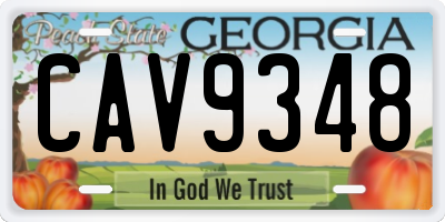 GA license plate CAV9348