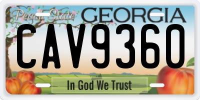 GA license plate CAV9360