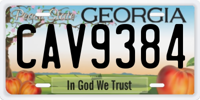 GA license plate CAV9384