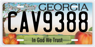 GA license plate CAV9388