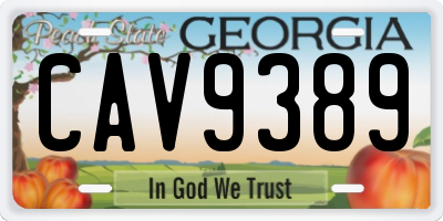 GA license plate CAV9389