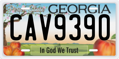 GA license plate CAV9390