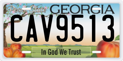 GA license plate CAV9513