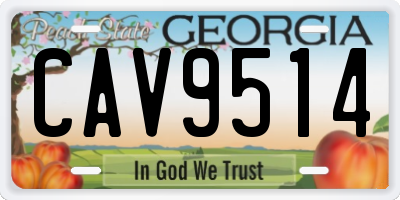 GA license plate CAV9514