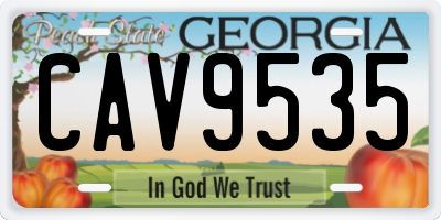 GA license plate CAV9535