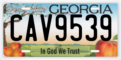 GA license plate CAV9539