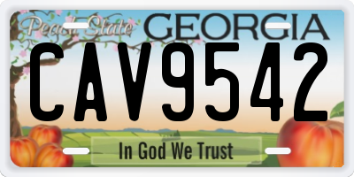GA license plate CAV9542