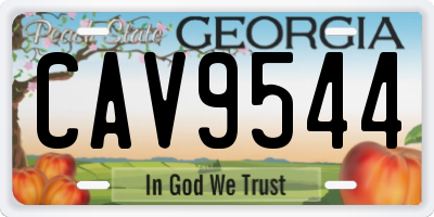 GA license plate CAV9544