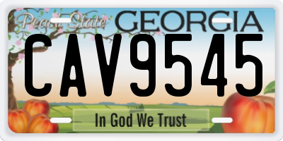 GA license plate CAV9545