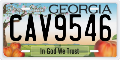 GA license plate CAV9546