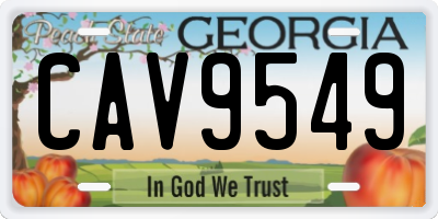 GA license plate CAV9549