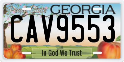 GA license plate CAV9553