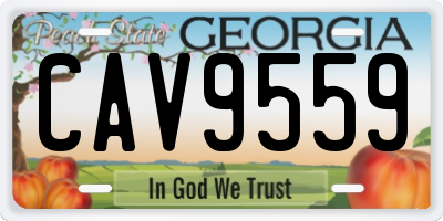 GA license plate CAV9559