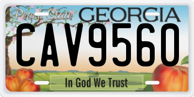 GA license plate CAV9560