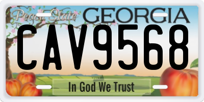 GA license plate CAV9568