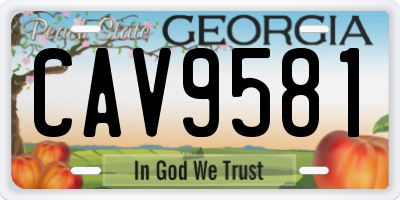 GA license plate CAV9581