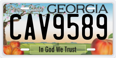 GA license plate CAV9589
