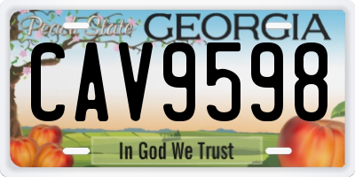 GA license plate CAV9598