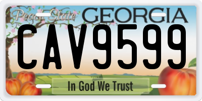 GA license plate CAV9599