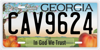 GA license plate CAV9624