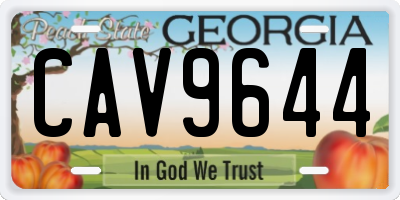 GA license plate CAV9644