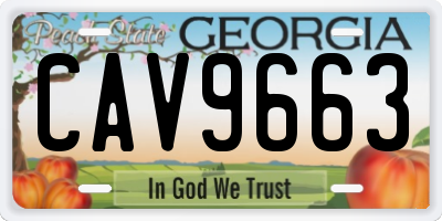 GA license plate CAV9663