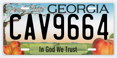 GA license plate CAV9664