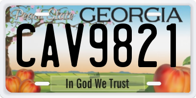 GA license plate CAV9821