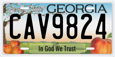 GA license plate CAV9824