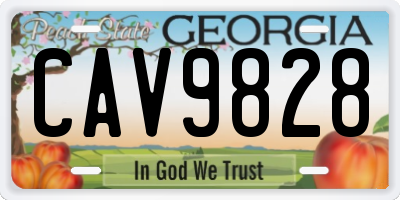 GA license plate CAV9828