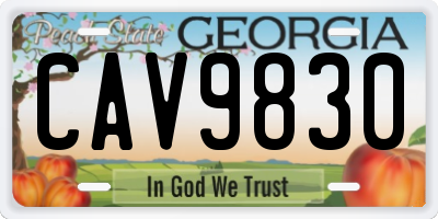 GA license plate CAV9830