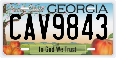 GA license plate CAV9843