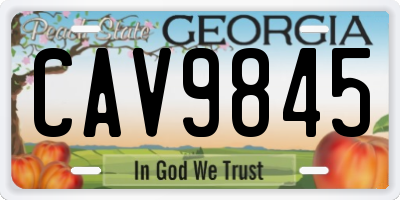 GA license plate CAV9845