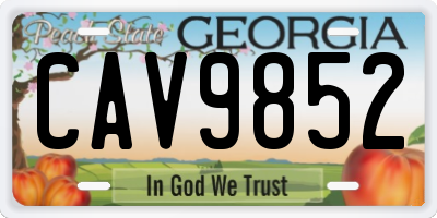 GA license plate CAV9852