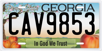 GA license plate CAV9853