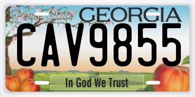 GA license plate CAV9855