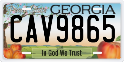 GA license plate CAV9865