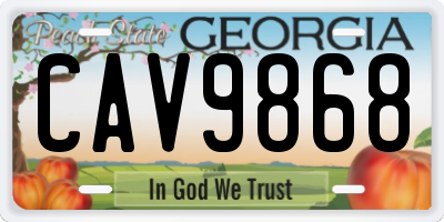 GA license plate CAV9868