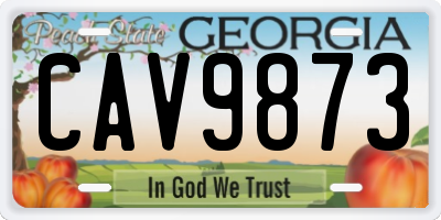 GA license plate CAV9873