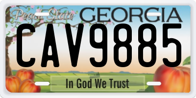 GA license plate CAV9885