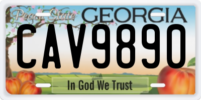 GA license plate CAV9890