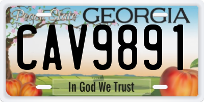 GA license plate CAV9891