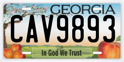 GA license plate CAV9893