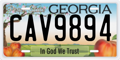 GA license plate CAV9894