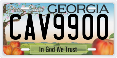 GA license plate CAV9900