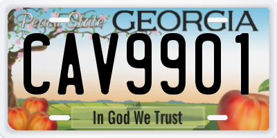 GA license plate CAV9901