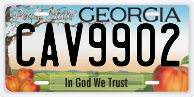 GA license plate CAV9902