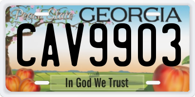 GA license plate CAV9903