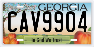 GA license plate CAV9904