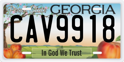 GA license plate CAV9918